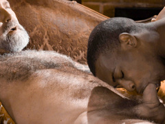 Lancet Charger isn't older, but his super-steamy