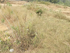 Watch this youthfull and lean crossdresser take on